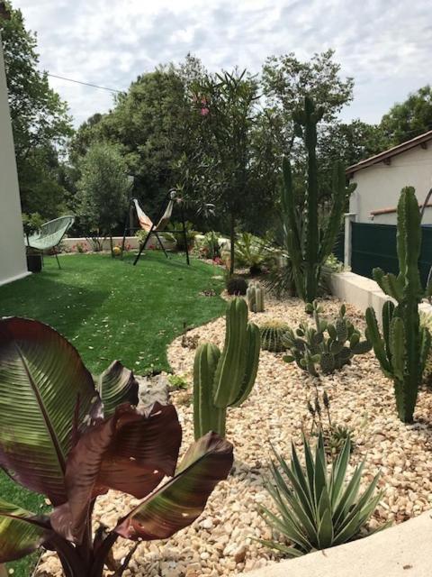 Villa Oha Close Cannes,Nice, Valbonne , Opio Roquefort-les-Pins Exteriör bild