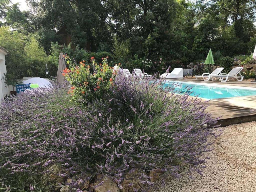 Villa Oha Close Cannes,Nice, Valbonne , Opio Roquefort-les-Pins Exteriör bild