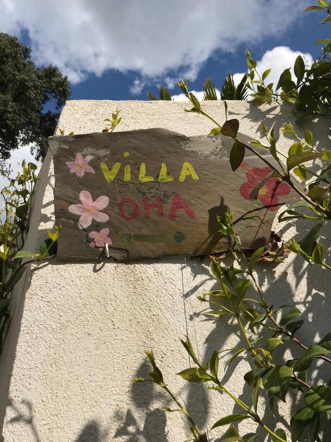 Villa Oha Close Cannes,Nice, Valbonne , Opio Roquefort-les-Pins Exteriör bild
